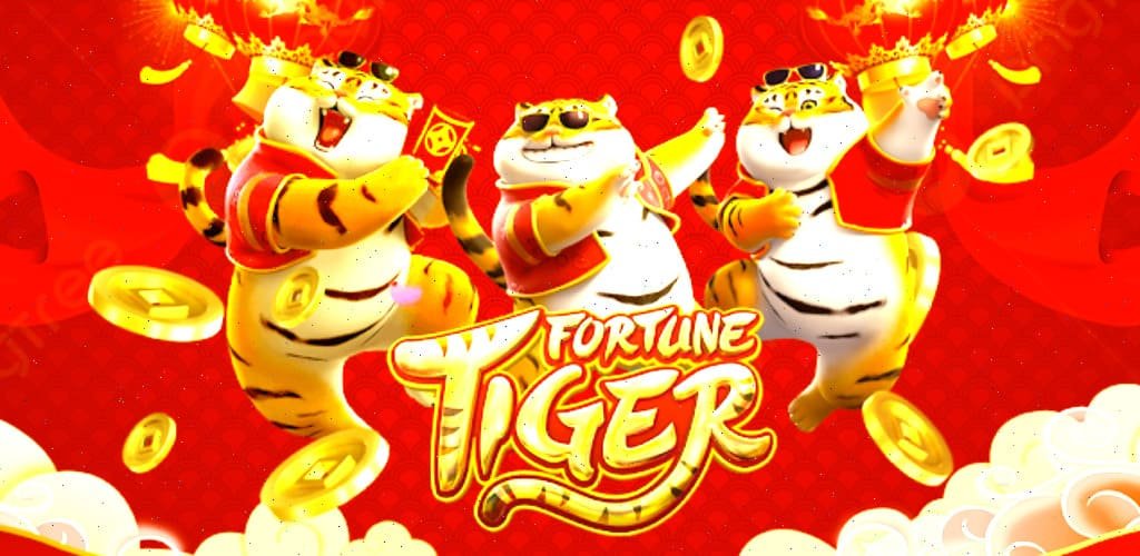 Tampilan panduan instalasi 5ers di ponsel